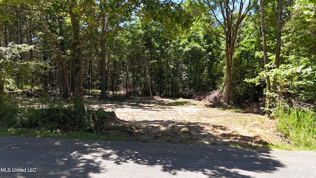 Wall Hill Farms Rd, Byhalia MS, 38611 land for sale