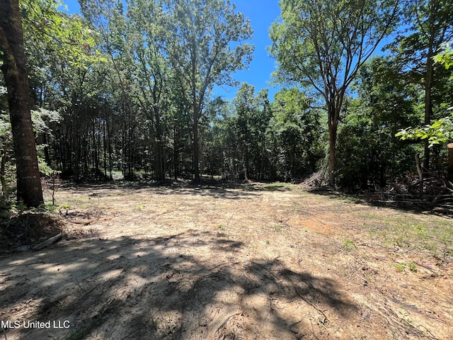 Listing photo 3 for Wall Hill Farms Rd, Byhalia MS 38611