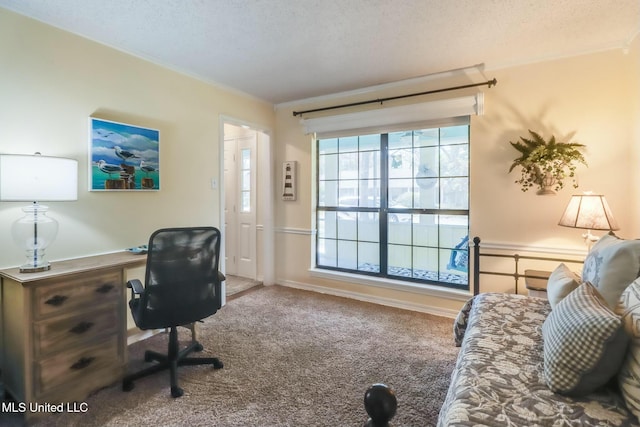 carpeted office with a textured ceiling and baseboards