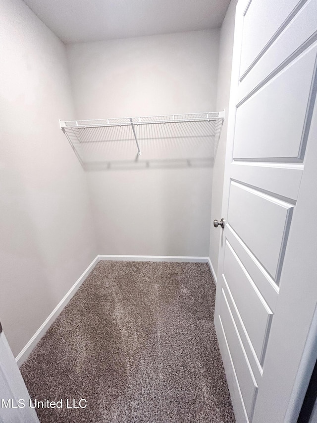 walk in closet featuring carpet flooring