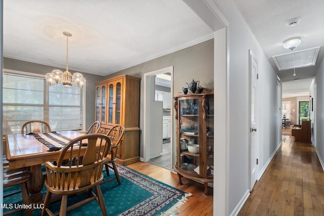 dining room featuring hardwood / wood-style flooring, a textured ceiling, a wealth of natural light, and ornamental molding