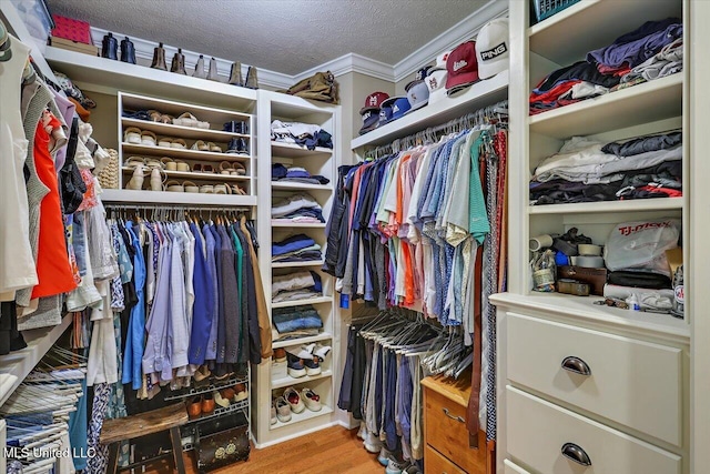 210 Planters Grv, Brandon, MS 39047 - walk in closet featuring wood finished floors