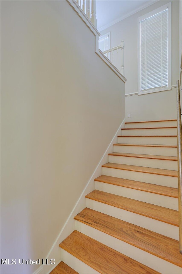 210 Planters Grv, Brandon, MS 39047 - staircase with crown molding and baseboards