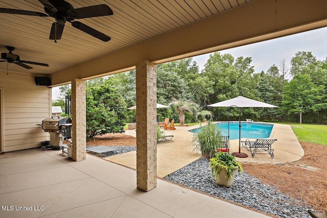 210 Planters Grv, Brandon, MS 39047 - view of patio with a ceiling fan, area for grilling, an outdoor pool, and view of wooded area