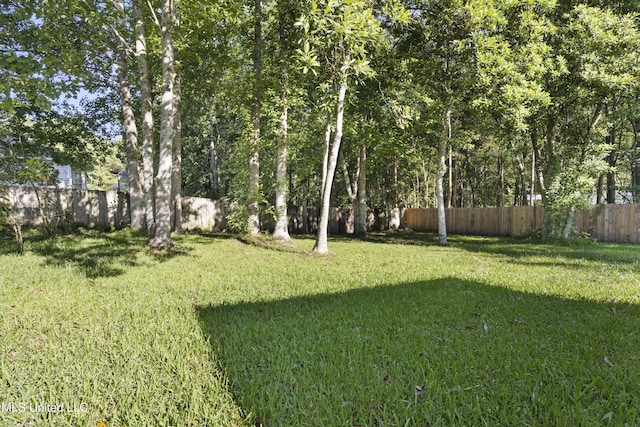6507 Shoshonee Dr, Ocean Springs, MS 39564 - view of yard