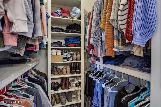 view of walk in closet