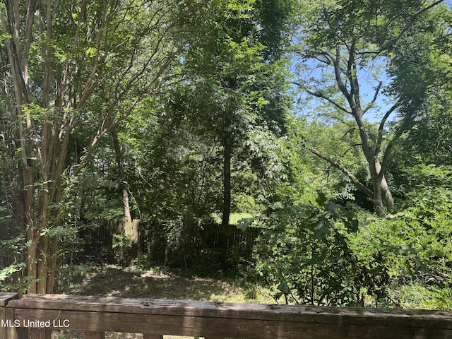 407 N Thunderbird Rd, Hernando, MS 38632 - view of local wilderness