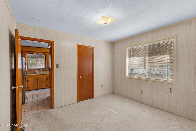 interior space featuring sink, a textured ceiling, and carpet floors