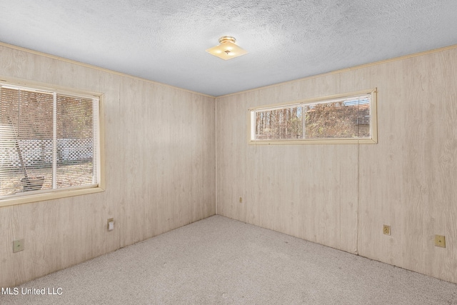 carpeted empty room featuring a textured ceiling and wooden walls