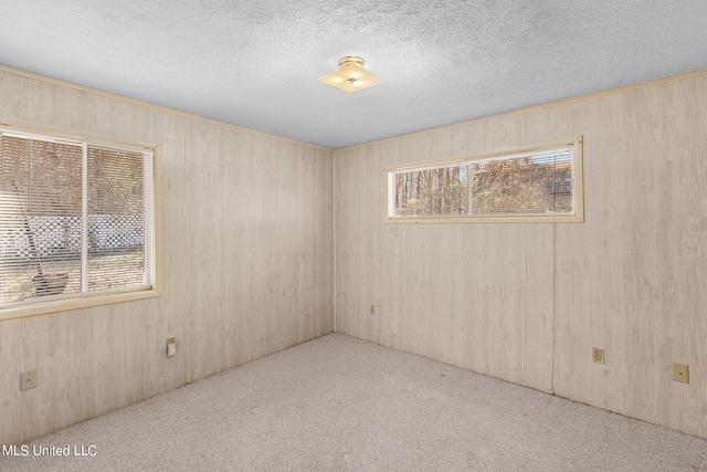 219 E Jackson St, Ridgeland, MS 39157 - carpeted spare room with a textured ceiling and wooden walls