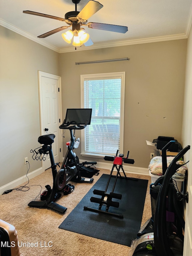 8 Audubon Pl, Natchez, MS 39120 - exercise room featuring baseboards, a ceiling fan, crown molding, and carpet flooring