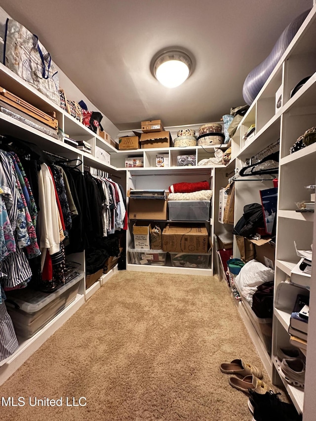 walk in closet with carpet floors