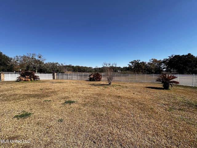 view of yard featuring a rural view