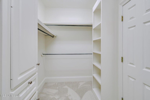 spacious closet featuring carpet