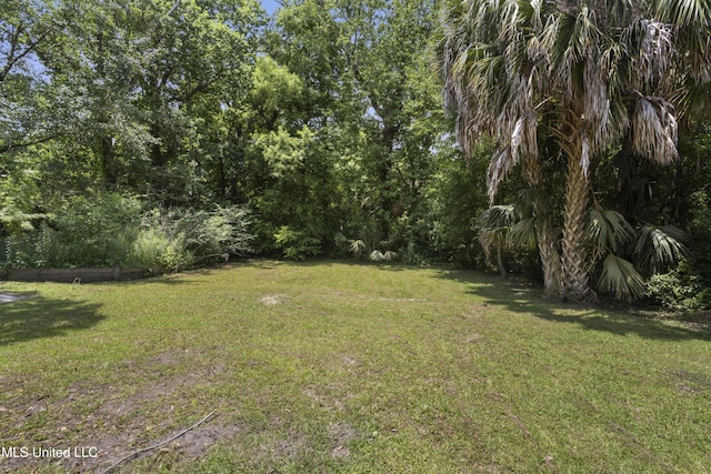 114 Olson Ave, Long Beach, MS 39560 - view of grassy yard