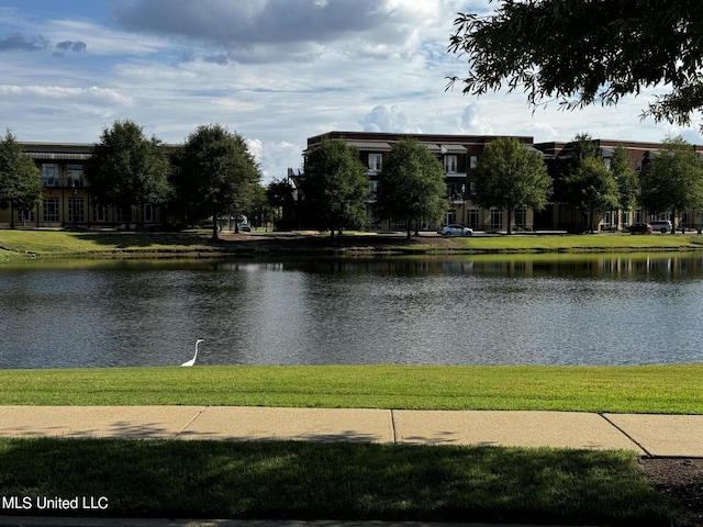 view of water feature