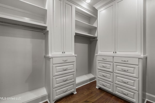 walk in closet featuring dark hardwood / wood-style floors