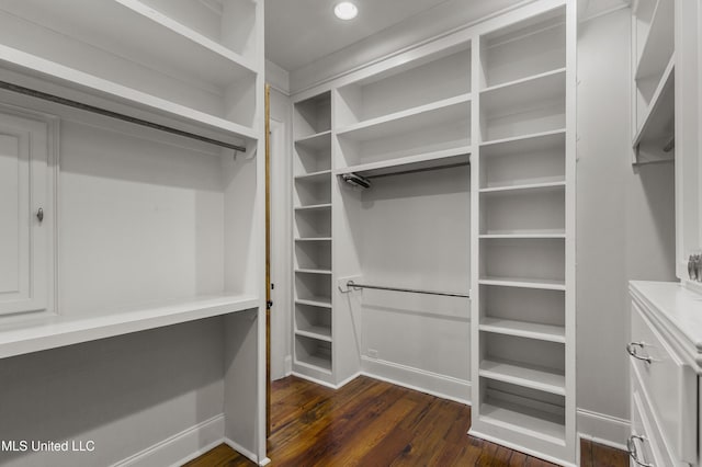 spacious closet with dark hardwood / wood-style flooring