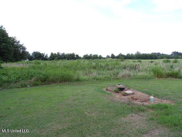 view of yard with a rural view