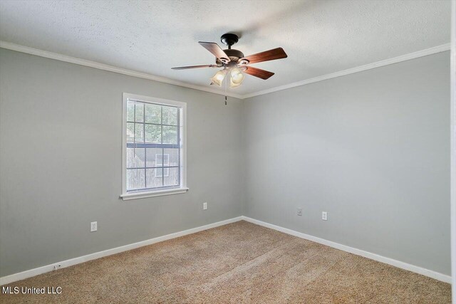 empty room featuring ceiling fan, carpet, and a textured ceiling