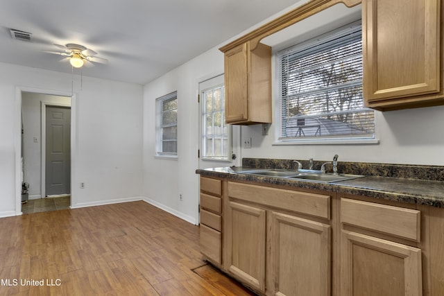 kitchen with sink, light hardwood / wood-style floors, and ceiling fan