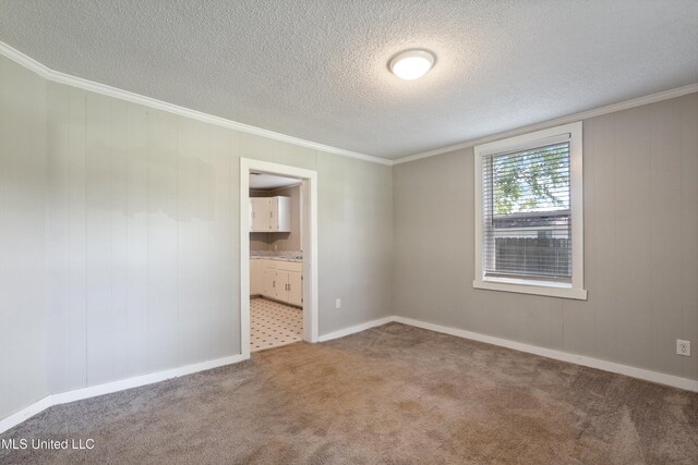 777 W Main St, Senatobia, MS 38668 - unfurnished room featuring carpet flooring, ornamental molding, and a textured ceiling