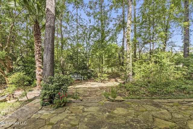 7395 Live Oak Way, Pass Christian, MS 39571 - view of yard with a patio area