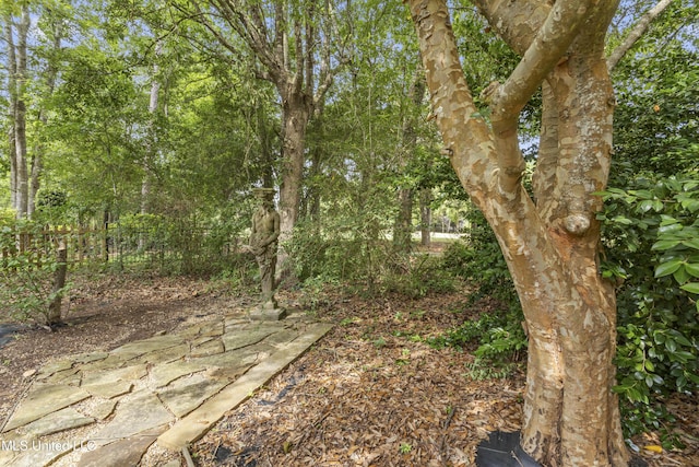 7395 Live Oak Way, Pass Christian, MS 39571 - view of woods