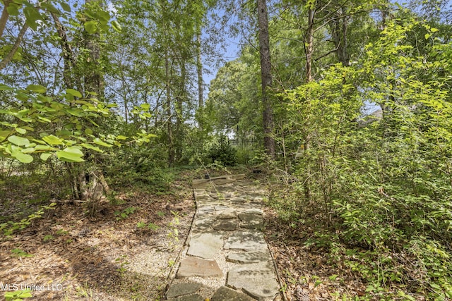 7395 Live Oak Way, Pass Christian, MS 39571 - view of undeveloped land