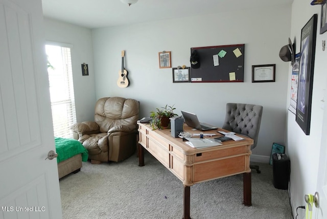 view of carpeted office space