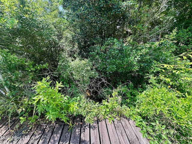 577 W Lakeshore Dr, Carriere, MS 39426 - view of nature