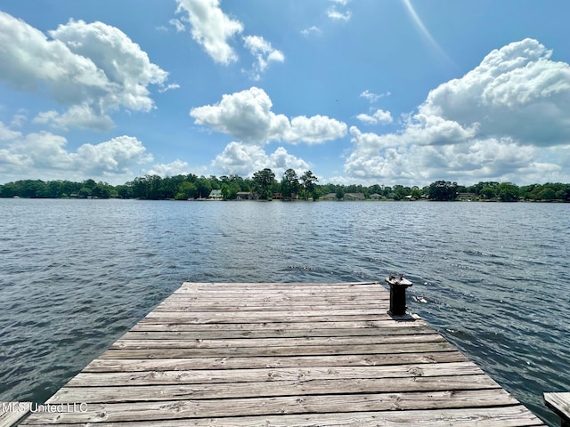 577 W Lakeshore Dr, Carriere, MS 39426 - dock with a water view