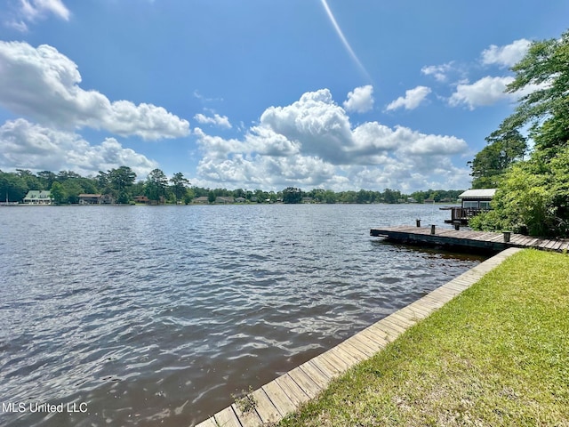 577 W Lakeshore Dr, Carriere, MS 39426 - dock area with a water view
