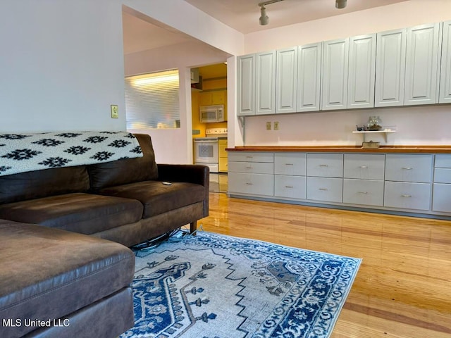 living area featuring track lighting and light wood-type flooring
