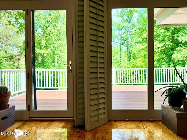 entryway featuring wood finished floors