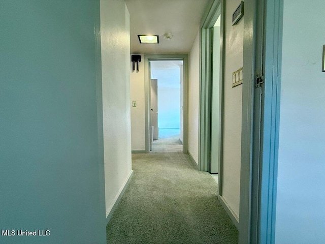 hallway with baseboards and carpet flooring