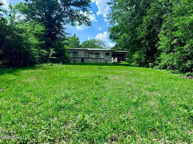 view of yard