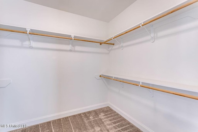 spacious closet with carpet