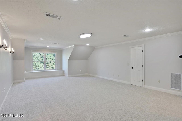 additional living space with light carpet, a textured ceiling, and lofted ceiling