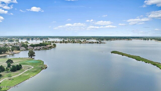 111 Southampton Cir, Madison, MS 39110 - property view of water