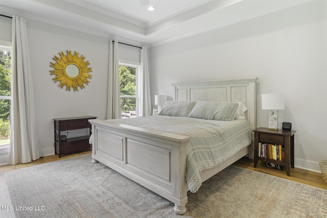 168 Shore View Dr, Madison, MS 39110 - bedroom featuring wood finished floors, recessed lighting, and a tray ceiling