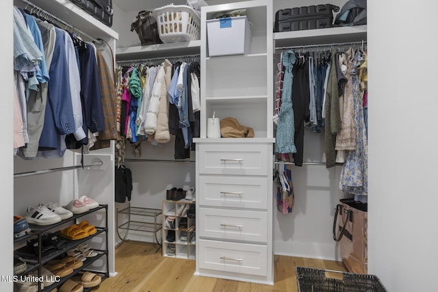 168 Shore View Dr, Madison, MS 39110 - spacious closet featuring light wood-style flooring