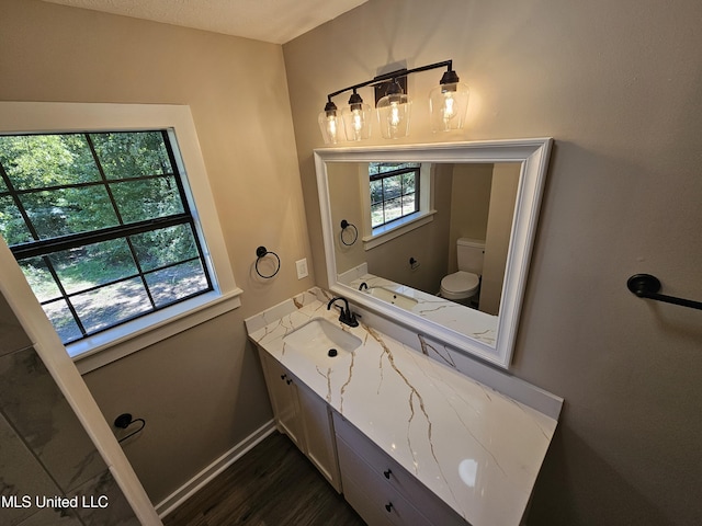 bathroom with hardwood / wood-style floors, vanity, and toilet