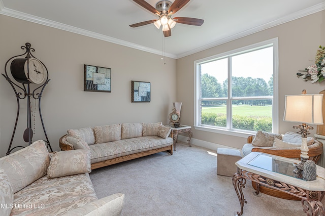 1000 Cedar Hill Rd, Madison, MS 39110 - living area featuring carpet floors, ornamental molding, ceiling fan, and baseboards