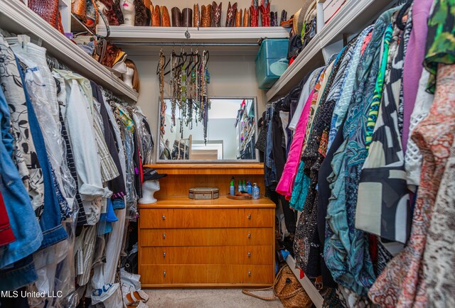 1000 Cedar Hill Rd, Madison, MS 39110 - walk in closet with carpet floors