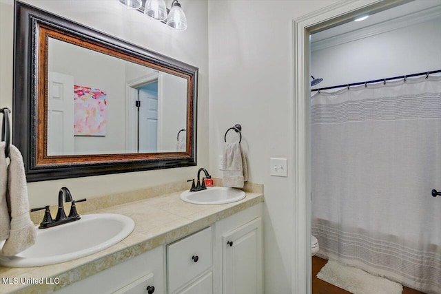 bathroom with vanity and toilet