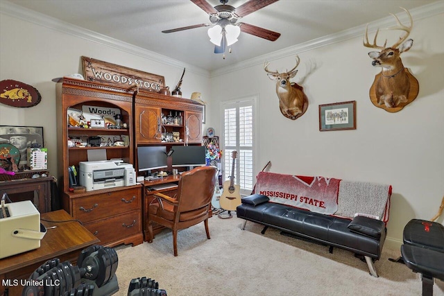 carpeted office with ceiling fan and ornamental molding