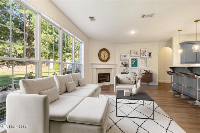 living room featuring dark hardwood / wood-style floors