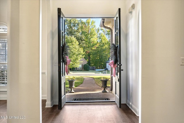 entryway featuring dark hardwood / wood-style floors