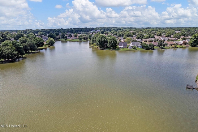 8968 Tahoe Cv, Olive Branch, MS 38654 - drone / aerial view of a large body of water
